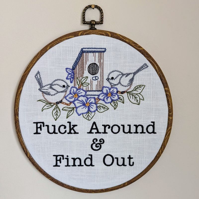 Fuck around and find out, machine embroidery 8" hoop art