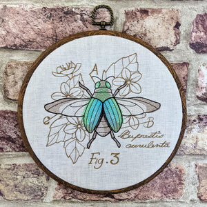 Menagerie Beetle diagram.  Machine embroidery 8" hoop art