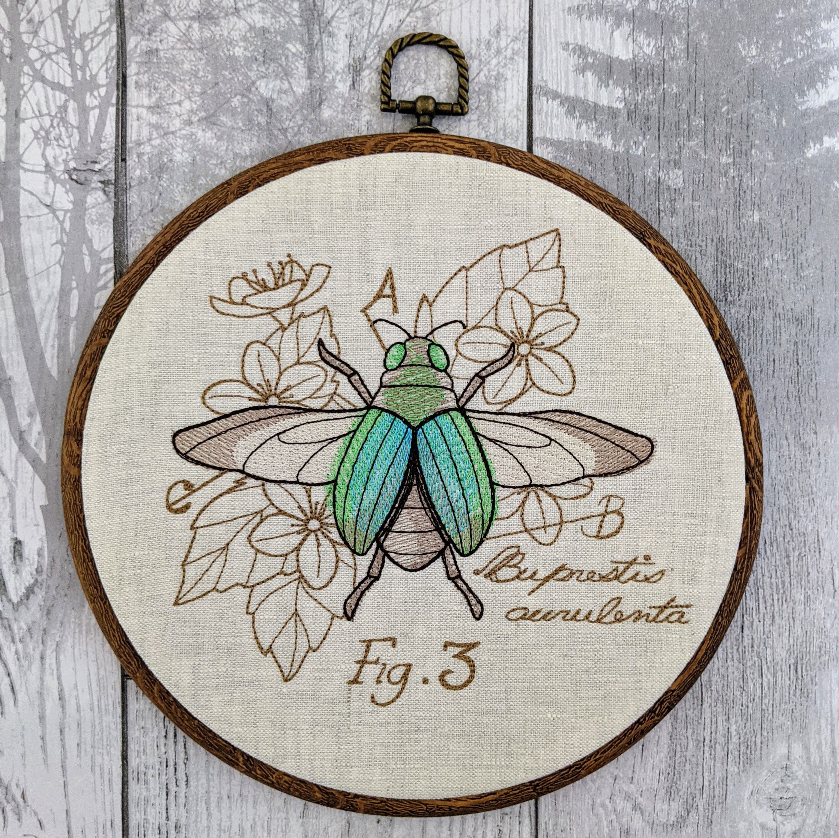Menagerie Beetle diagram.  Machine embroidery 8" hoop art
