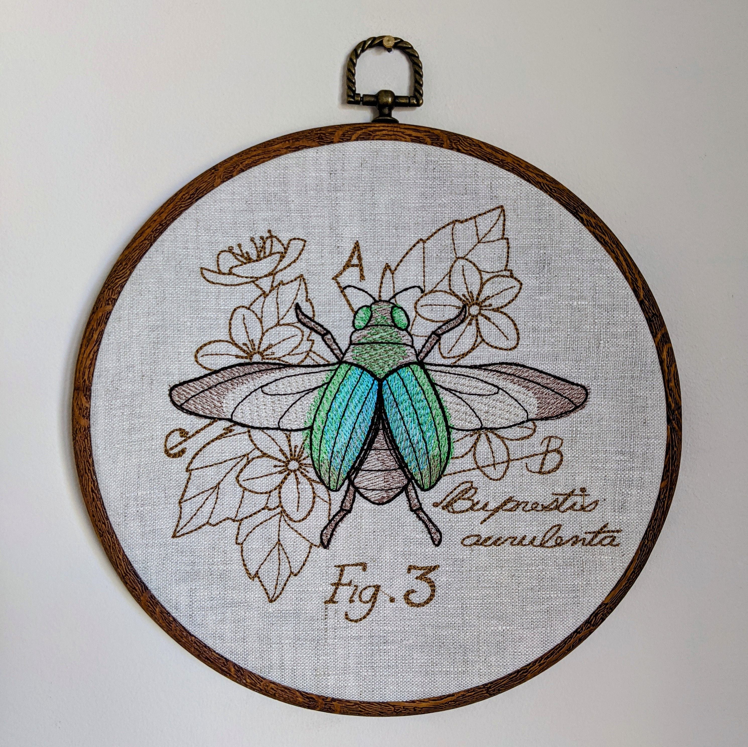 Menagerie Beetle diagram.  Machine embroidery 8" hoop art